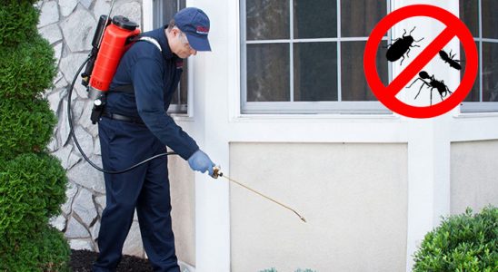 Sütçüler Tahtakurusu İlaçlama böcek ilaçlama ve haşere kontrolü — ilaclama-tr.com